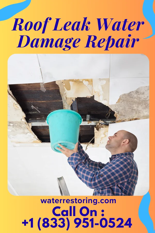 Roof Leak Water Damage Repair in Mooreton, ND