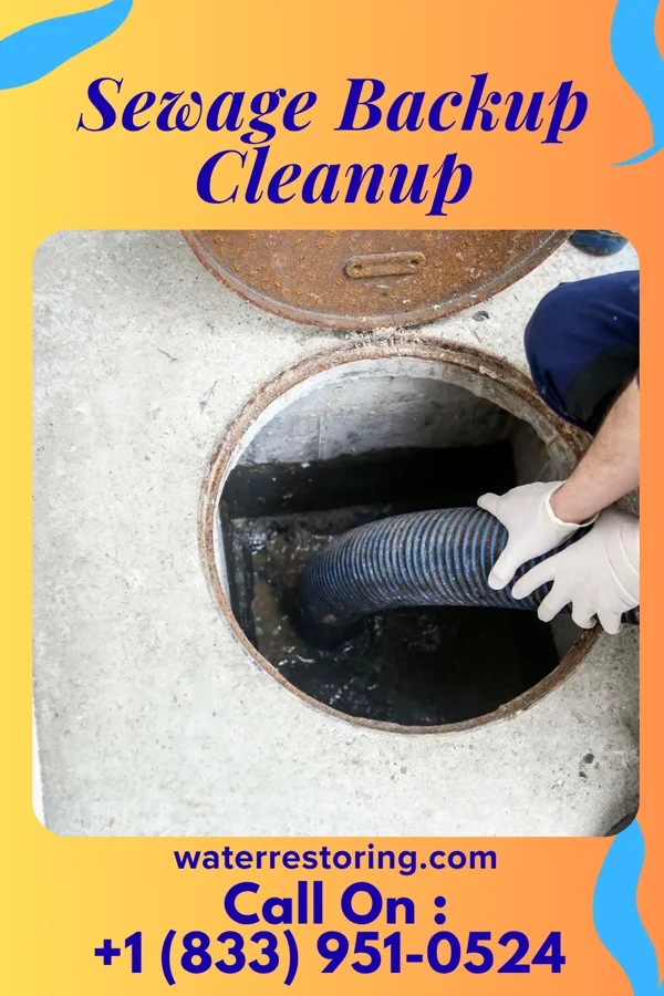 Sewage Backup Cleanup in Mooreton, ND